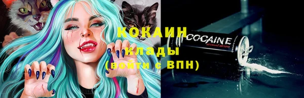 мяу мяу мука Вязьма