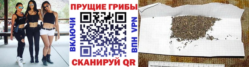 shop состав  где можно купить наркотик  Ветлуга  Псилоцибиновые грибы ЛСД 